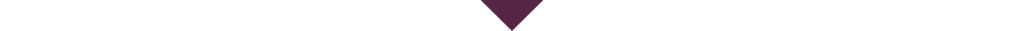 arrowdown-1024x31 arrow